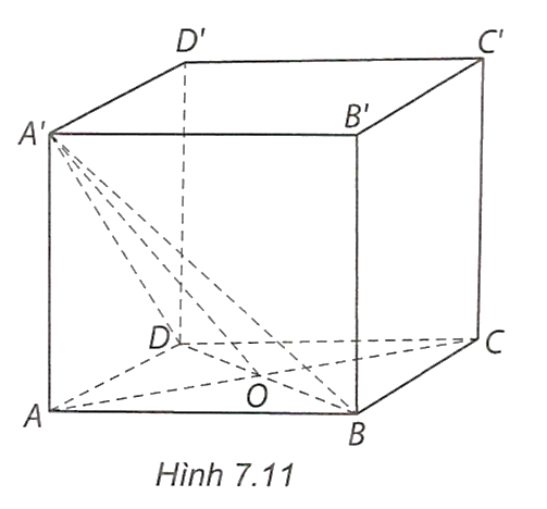 Hình minh họa câu hỏi